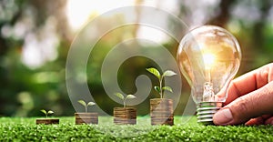 hand holding light bulb on green grass with young plant growing on coins stack. saving power energy and save money