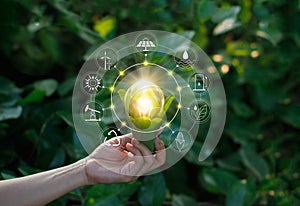 Hand holding light bulb on green nature with icons