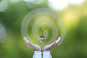 Hand holding on light bulb with green plant inside for saving earth, nature green background.