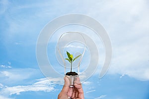 Hand holding on light bulb with green plant inside for saving earth, nature blue sky background.