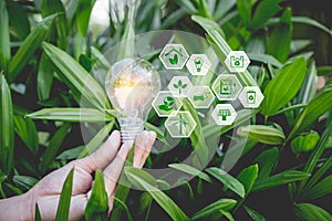 Hand holding light bulb with icons energy sources for renewable,natural energy