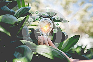 Hand holding light bulb with icons energy sources for renewable,natural energy