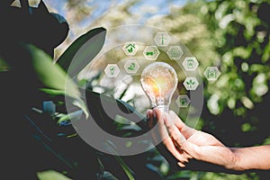 Hand holding light bulb with icons energy sources for renewable,natural energy