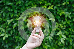 Hand holding Light bulb with light flare green nature background.
