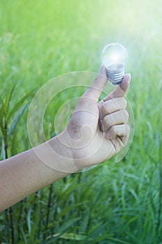 Hand holding light bulbs that grow in the concept of energy and  solar in nature.