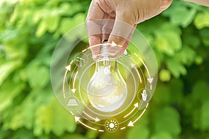 Hand holding light bulbt. Ecology concept.