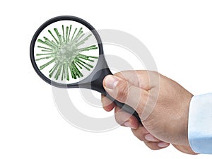 Hand holding magnifying glass focusing on virus cell isolated on white