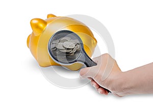 Hand Holding magnifying glass is shines coin in pork bellies on white background.