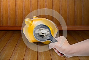 Hand Holding magnifying glass is shines coin in pork bellies on wood background.