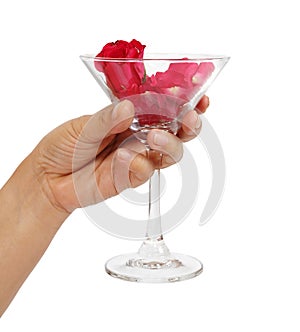 Hand holding martini glass