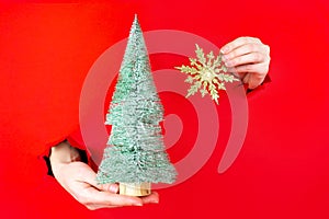 Hand is holding mini christmas tree in torn hole