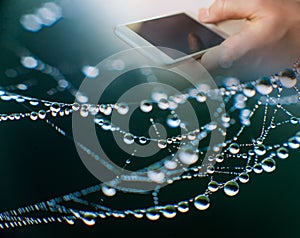 Hand holding modern mobile phone and web subscribers