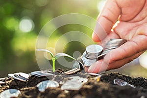 hand holding money puting on soil and young growing