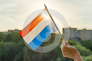 Hand holding Netherlands flag an open window. Background blue sky, silhouette of the city, sunset