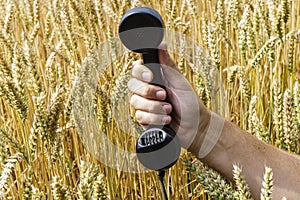 Hand holding a old wired phone against the wheat field