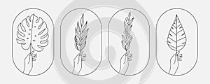 Hand holding palm, monstera leaf, olive branch and other plant icons