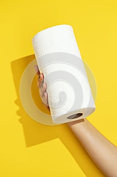 Hand holding paper towel roll