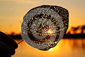 Hand holding a patterned leaf of tree