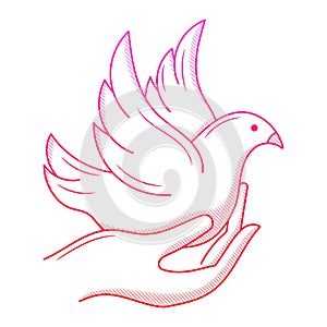 Hand holding peace pigeon illustration with hand drawn outline doodle style