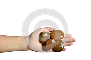 A hand holding a pebbles