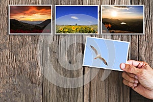 Hand holding photo on vintage grunge wooden background