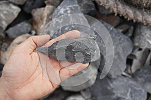 Hand holding a piece of black shale rock on nature background.