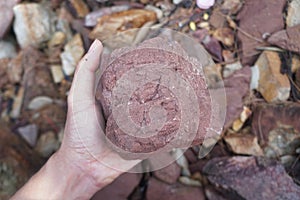 Hand holding a piece of Pink Arkosic Sandstone rock on nature background.