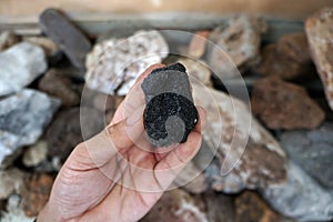 Hand holding a piece of raw lignite.