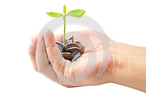 Hand Holding A Pile Of Coins And A Small Plant Sprouting From Th