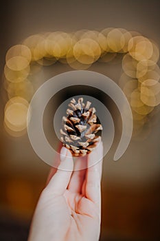 Hand holding pine cone against lights