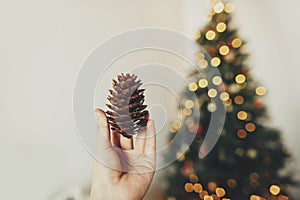 Hand holding pine cone on background of golden beautiful christ