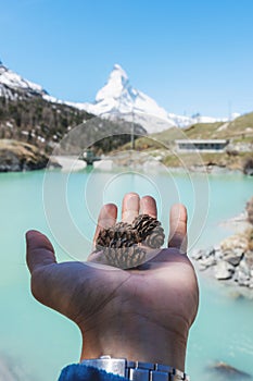 Hand holding pine cone, with Matterhorn mountain and lake view in summer in Zermatt, Switzerland