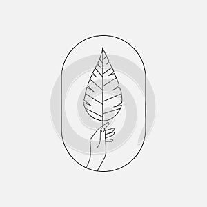 Hand holding plant branch icon