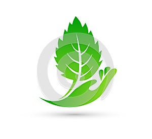 Hand holding plant, Leaf in hand icon, logo growth concept vector.