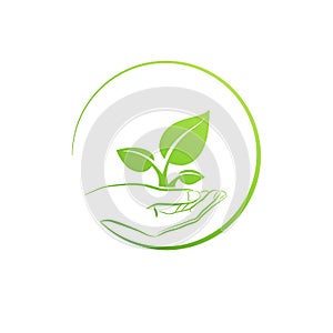 Hand holding plant, logo growth concept vector photo