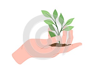 Hand holding plant stem vector concept