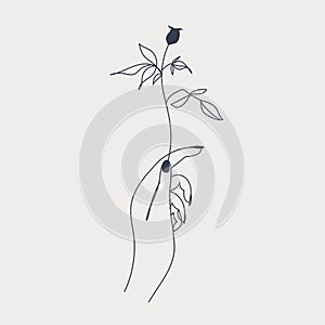 Hand holding a plant tribal line style logo template