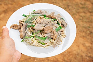 A hand is holding a plate of stir fried pork with bean sprouts and chives. A Vietnamese cuisine