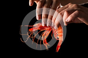 Hand holding prawn