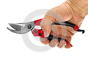 Hand holding a pruning shears