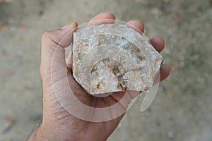 A hand holding a quartzite stone.