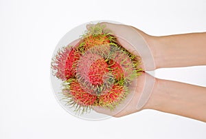 Hand holding Rambutans fruit on white background