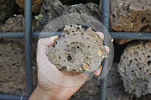 Hand holding a raw basalt extrusive igneous volcanic rock stone. Lava rock. photo