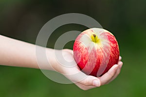 Hand Holding Red Apple