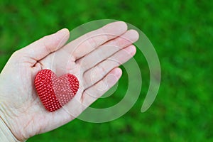 Hand holding red heart on green