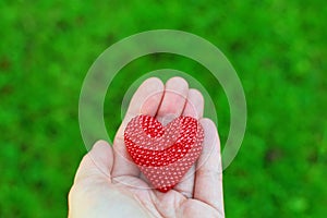 Hand holding red heart on green