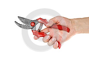 Hand holding a red pruner for cutting bushes. Close up. Isolated on white background