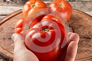 Hand holding red ripe tomato