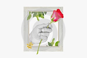 Hand holding Red rose, with retro picture frame, leaves and flower