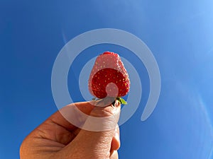 Hand holding red strawberry in front of light blue sky and white cloudy with sunshine of sunset.